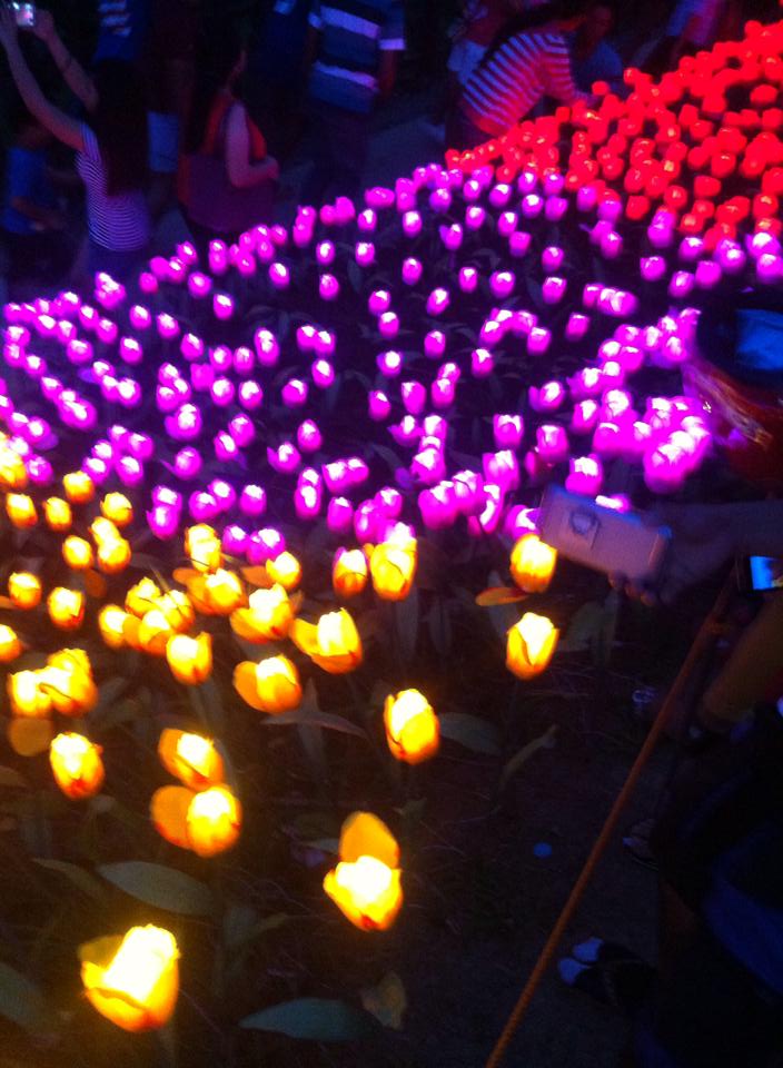 20,000 LED powered Roses is the newest Tourist attraction in Pilar Bohol