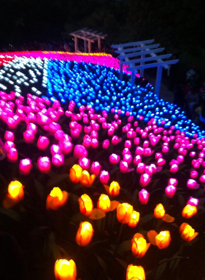 5000 Roses 20,000 LED powered Roses is the newest Tourist attraction in Pilar Bohol