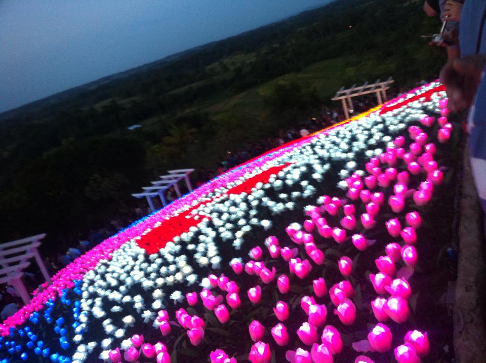 20,000 LED powered Roses is the newest Tourist attraction in Pilar Bohol