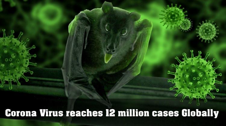 Corona Virus reaches 12 Million Cases Globally '5 Days 1 Million Cases'